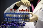 جریمه و محرومیت در صورت عدم رعایت پرسشها سیاسی و اجتماعی / نامه اتحادیه جهانی کشتی به فدراسیونها